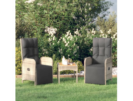 2 db szürke polyrattan dönthető kültéri szék párnával - utánvéttel vagy ingyenes szállítással